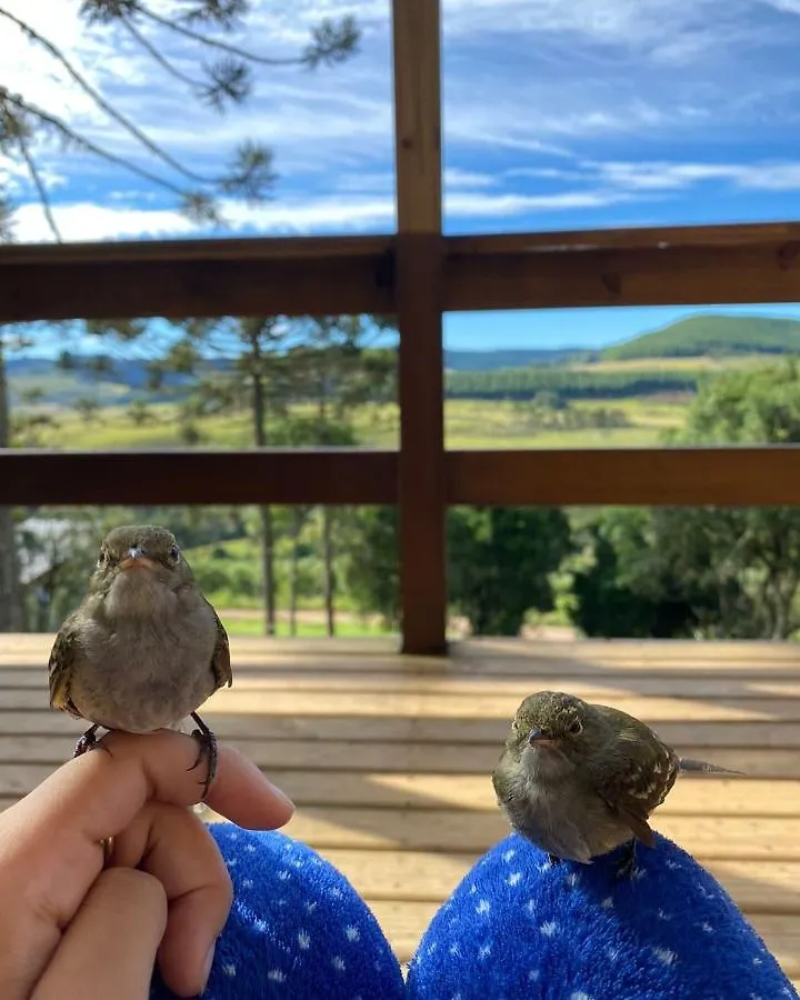 Hétvégi ház Chales Da Serra Catarinense Bom Jardim da Serra